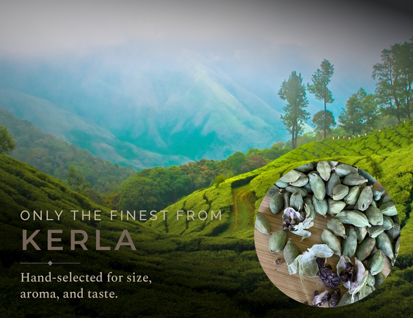 Indian Cardamom | Ayurveda’s Green Gold