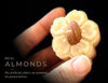 Almond Barfi | High in Protein & Good Fats | With Clove, and a Hint of Nutmeg