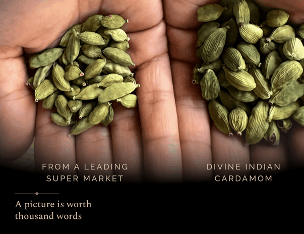 Indian Cardamom | Ayurveda’s Green Gold