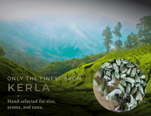 Indian Cardamom | Ayurveda’s Green Gold