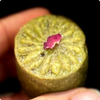Pistachio