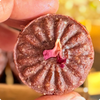 Vegan Chocolate Date (No Sugar)