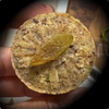Coconut Raisin (No Sugar)