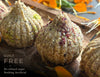 Healthy Modaks for Ganesh Chaturthi | No White Sugar|Vegan