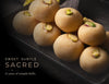 Malai Peda (Milk Peda)